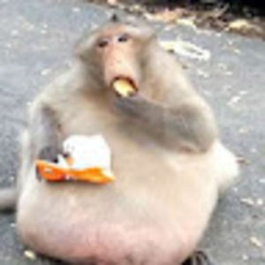 Meet your Posher, Jack